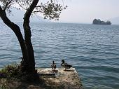 Lago d'Iseo, Montisola: passeggiata primaverile da Peschiera Maraglio a Sensole il 21 aprile 2010 - FOTOGALLERY